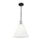 Z-Lite Alaric 1 Light Pendant, 14in. W x 15in. H, Matte Black 3042P14-MB - alternate 8